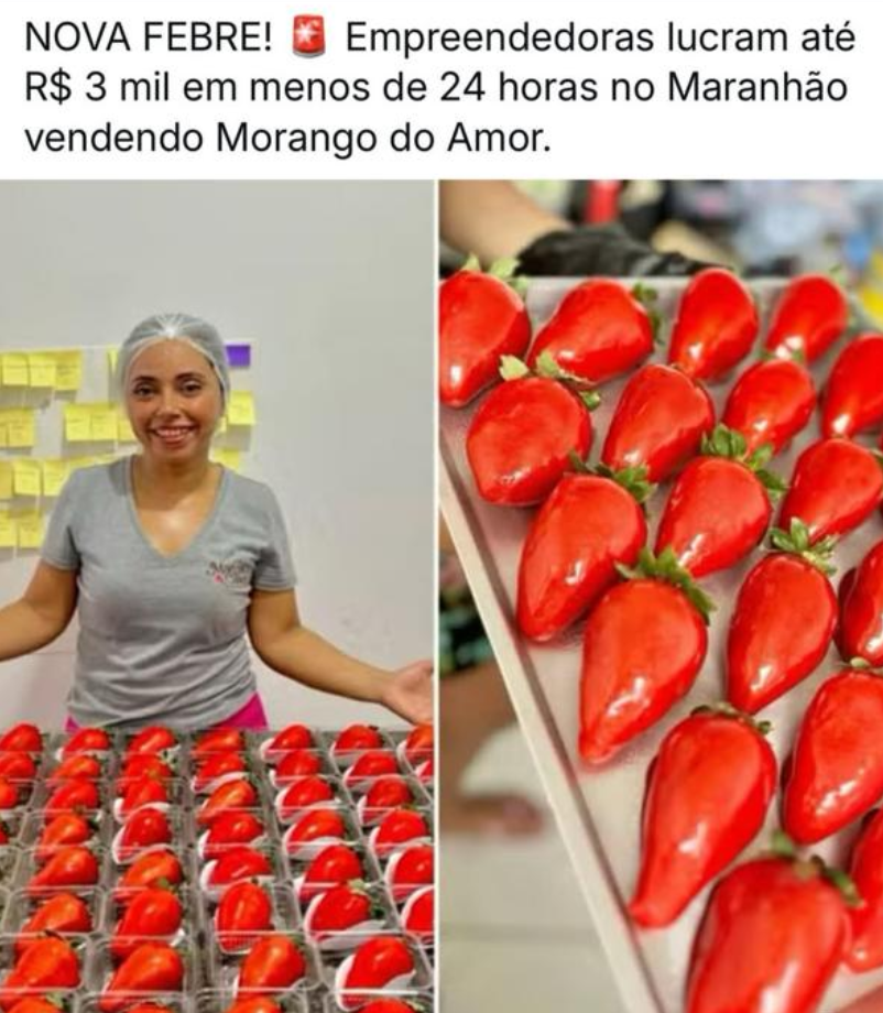 Nova Febre - Empreendedoras lucram até R$ 3 mil vendendo Morango do Amor